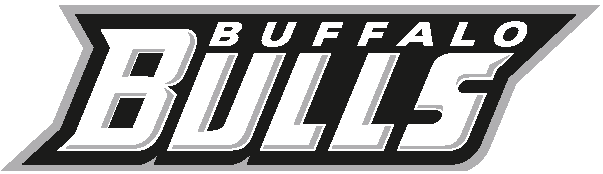 Buffalo Bulls 2007-Pres Wordmark Logo t shirts DIY iron ons
